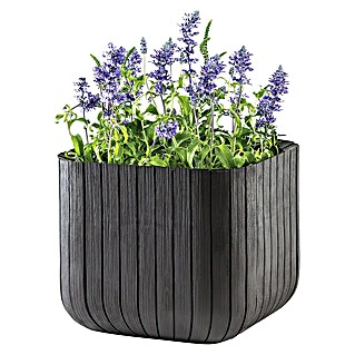 Keter Maceta para planta Cube Box (L x An x Al: 40 x 40 x 40 cm, Material compuesto, Marrón)