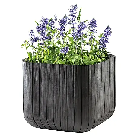 Keter  Maceta para planta Cube Box