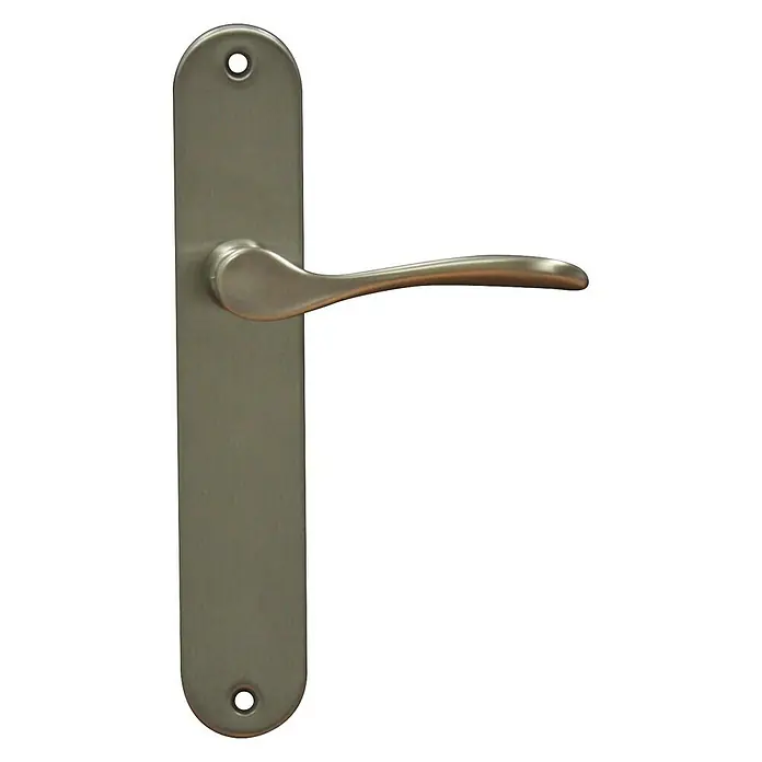 Conjunto de picaporte - Plata - Primer plano de una manija de puerta plateada con un diseño elegante y curvo, montada en una placa alargada con orificios para tornillos.
