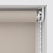 Expo Ambiente Rolo  (Š x V: 140 x 275 cm, Krem, Univerzalen, Prepustnost za dnevno svetlobo) | 6443 - Textil-Rollos | HDDA - Fenster-Sonnenschutz | HDD - Sonnenschutz | HD - Ambiente | H - Innendeko/Farben | BAUHAUS