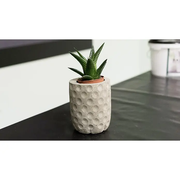 Ultrament Beton-Gießmasse Bastel Beton - Hellgrau, 1,5 kg - Zimmerpflanze Haworthia in einem zylindrischen, strukturierten Übertopf aus Beton, platziert auf einem schwarzen Tisch.