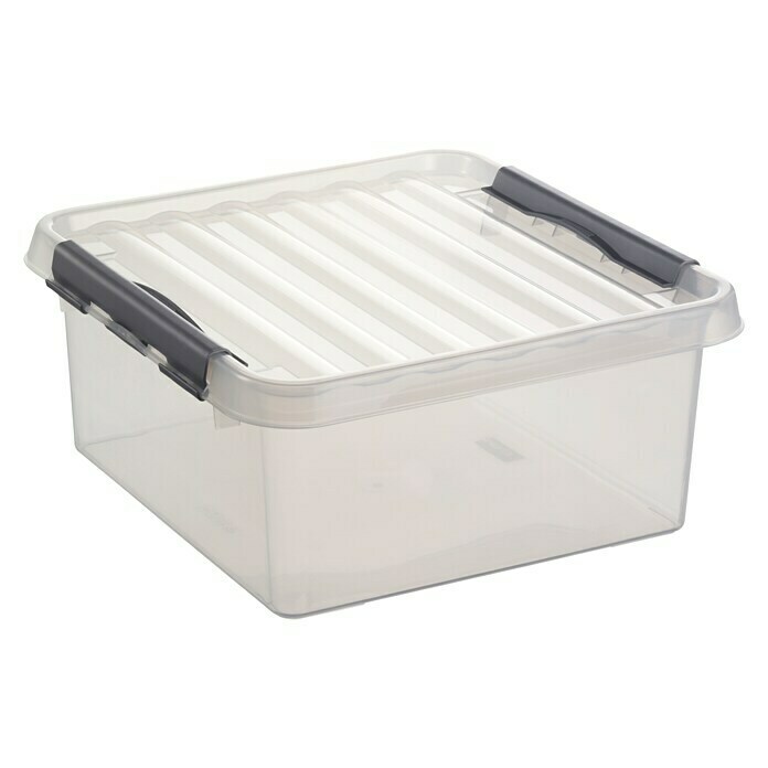 Sunware Aufbewahrungsbox (L x B x H: 31 x 31 x 16 cm, Kunststoff, Transparent, Farbe Griff: Schwarz)