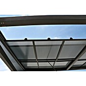 Sunfun Pavillon (L x B: 400 x 300 cm, Anthrazit)