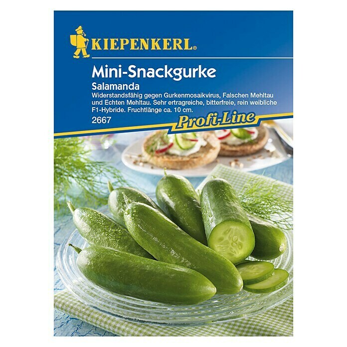 Kiepenkerl Profi-Line Salatgurke (Inhalt: 8 Korn)