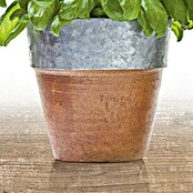 Resopal Küchenrückwand Fixmaß (Cerasum Herbs, 305 x 62 cm, Stärke: 15,4 mm, Holz)