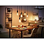 Philips Hue Ledlamp White Filament (E27, 7 W, Warm wit, Dimbaar, Peervorm)