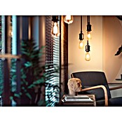 Philips Hue Smart-ledlamp Giant Edison (E27, Dimbaar, Warm wit, 550 lm, 7 W, Lampaanduiding: ST72) | BAUHAUS