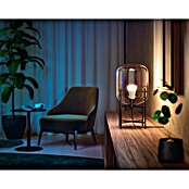 Philips Hue Smart-ledlampen set White Ambiance (E27, Dimbaar, Warm wit, 1.600 lm, 13 W, 1 st.) | BAUHAUS
