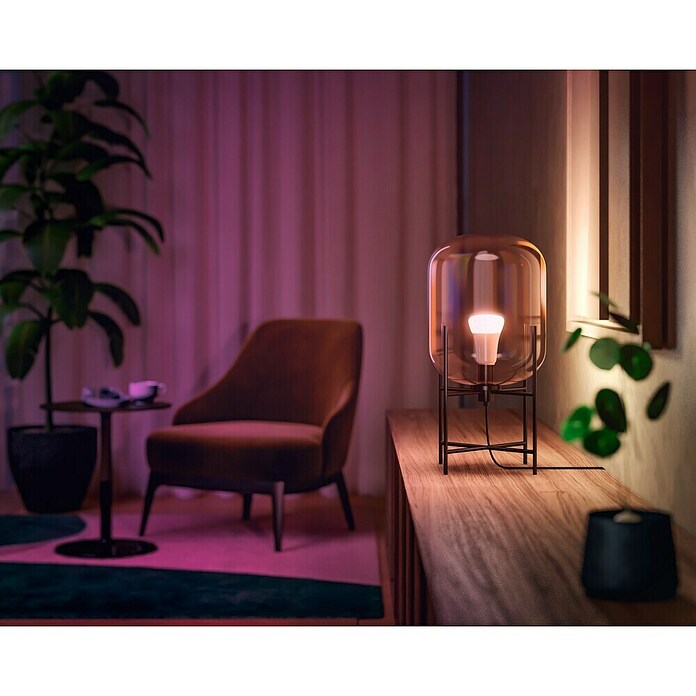 Philips Hue Smart-ledlampen set White Ambiance (E27, Dimbaar, Warm wit, 1.100 lm, 8 W, 2 st.) | BAUHAUS