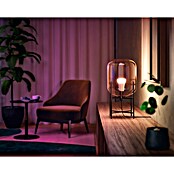 Philips Hue Smart-ledlampen set White Ambiance (E27, Dimbaar, Warm wit, 1.100 lm, 8 W, 2 st.) | BAUHAUS