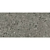 Cersanit Porculanska pločica Terazzo  (59,8 x 119,8 cm, Šareno, Mat) | BAUHAUS