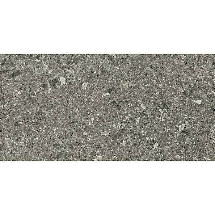 Cersanit Porculanska pločica Terazzo  (59,8 x 119,8 cm, Šareno, Mat) | BAUHAUS