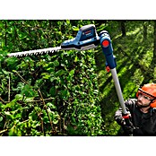 Bosch Professional AMPShare 18V Telescopische heggenschaar GHE 18V-50 TP (18 V, Excl. accu, Zaaglengte: 20 cm) | BAUHAUS
