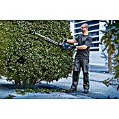Bosch Professional AMPShare 18V Accu Heggenschaar GHE 18V-60 II (18 V, Excl. accu, Lengte zaagblad: 60 cm) | BAUHAUS