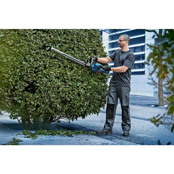 Bosch Professional AMPShare 18V Akku-Heckenschere GHE 18V-60 II - 18 V, Ohne Akku, Schwertlänge: 60 cm - Ein Mann, der eine Bosch Heckenschere benutzt, um eine Hecke zu schneiden, wobei der Fokus auf der Heckenschere und der Aktivität liegt.