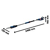Bosch Professional AMPShare 18V Accuhoogsnoeier GKE 18V-25 TP (18 V, Excl. accu, Lengte zaagblad: 25 cm) | BAUHAUS
