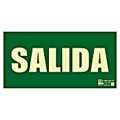 Cartel (L x An: 16 mm x 32 cm, Verde/Amarillo, Salida) | BAUHAUS