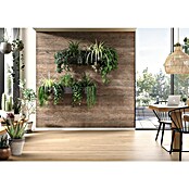 Egger Wandpaneel DecoWall (Annaba Eiche Natur, 1.250 x 660 x 12 mm, 3 Stk.) | BAUHAUS