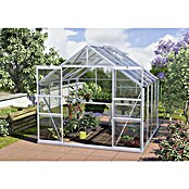 Vitavia Gewächshaus (2,58 x 2,57 x 2,3 m, Farbe: Aluminium, Einscheibensicherheitsglas (ESG), 3 mm)