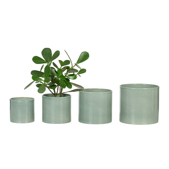 Scheurich Übertopf 828 (Sage Green, Ø x H: 19 x 17 cm) | BAUHAUS