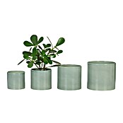 Scheurich Übertopf 828 (Sage Green, Ø x H: 14 x 13 cm) | BAUHAUS