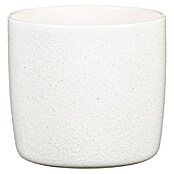 Scheurich Übertopf Solido (Perla, Ø x H: 15 x 13,7 cm) | BAUHAUS