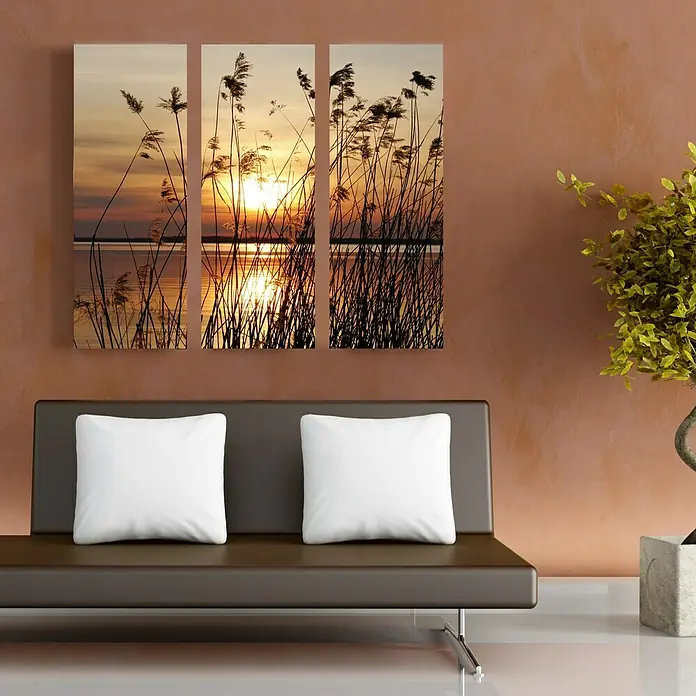 Glasbild - Abendsonne, B x H: 90 x 80 cm, 3 -tlg. - Wandkunst mit Schilfgras im Sonnenuntergang, braunes Sofa mit weißen Kissen, dekorative Zimmerpflanze in hellem Raum.