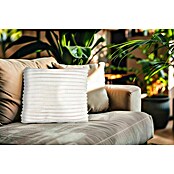 Kissen Plush (Ivory, 45 x 45 cm, 100 % Polyester) | BAUHAUS