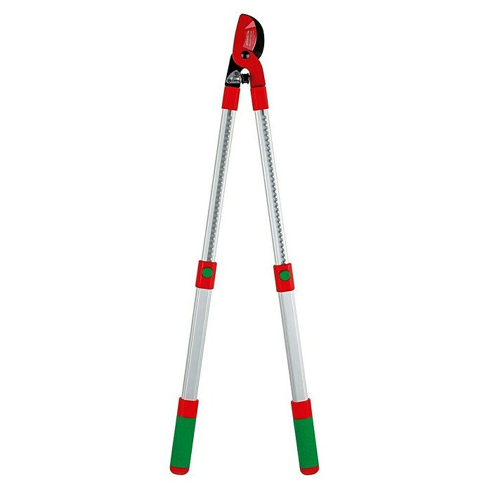 Gardol Premium Telescopische takkenschaar (Bypass, Max. takdikte: 37 mm, Telescooparmen)