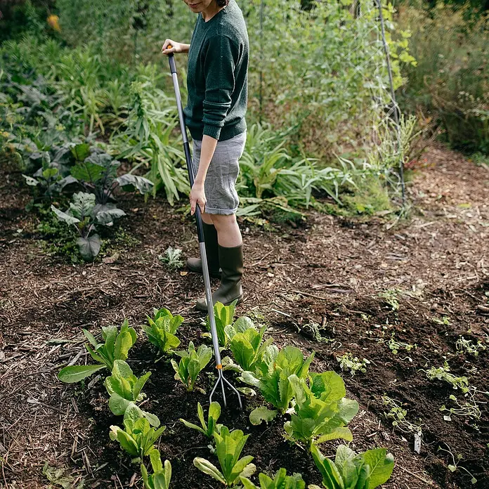Fiskars Ergonomic Grubber - Material Gerätekopf: Borstahl, Anzahl Zinken: 3, 1 Stk. - Eine Person, die im Garten mit einem Fiskars Kultivator arbeitet, um den Boden um Salatpflanzen aufzulockern.