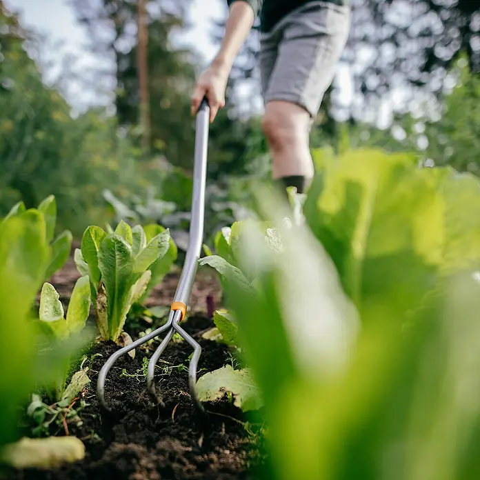 Fiskars Ergonomic Grubber - Material Gerätekopf: Borstahl, Anzahl Zinken: 3, 1 Stk. - Nahaufnahme einer Person, die mit einem Fiskars Kultivator zwischen Salatpflanzen im Garten arbeitet.