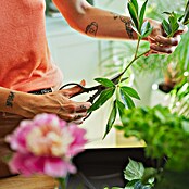 Fiskars Schere (Elegante, freistehende Werkzeughalterung zur praktischen Aufbewahrung, Material Klinge: Stahl, Präzisionsgeschliffen) | BAUHAUS