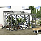 Vitavia Gewächshaus Helena 10200 (2,66 x 3,97 x 2,39 m, Farbe: Anthrazit, Einscheibensicherheitsglas (ESG))