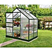 Vitavia Gewächshaus (1,31 x 1,95 x 1,97 m, Farbe: Smaragd, Polycarbonat, 6 mm)