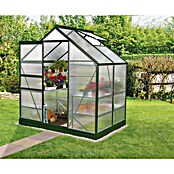 Vitavia Gewächshaus (1,31 x 1,95 x 1,97 m, Farbe: Smaragd, Polycarbonat, 4 mm)