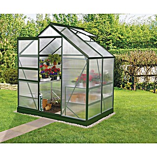 Vitavia Gewächshaus Venus 2500 (Außenmaß inkl. Dachüberstand (B x T): 195 x 131 cm, 4 mm, Smaragd)