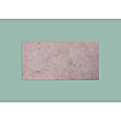 Nmc Decoflair Wandpaneel (Stone, 100 x 50 cm, Extrudiertes Polystyrol (XPS)) | BAUHAUS