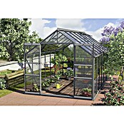 Vitavia Gewächshaus (4,45 x 2,57 x 2,3 m, Farbe: Anthrazit, Einscheibensicherheitsglas (ESG), 3 mm)