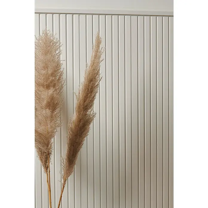 SCHÖNER WOHNEN-Kollektion Zierprofil Wandleiste Modern 4 - 2 m x 30 mm x 14,5 mm, Hochverdichtetes extrudiertes Polymer (HDPS) - Nahaufnahme von zwei Halmen getrocknetem Pampasgras vor einer weiß gestrichenen, vertikal geriffelten Wand, die eine elegante und natürliche Note verleihen.