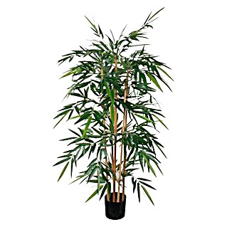 Kunstpflanze Bambus -  x H: 75 x 150 cm, Grn, Kunststoff online kaufen  bei BAUHAUS