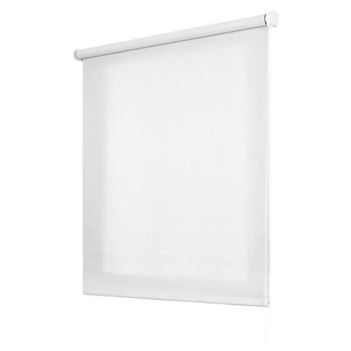Estor enrollable Roll-up Screen (An x Al: 100 x 250 cm, Blanco, Traslúcido)