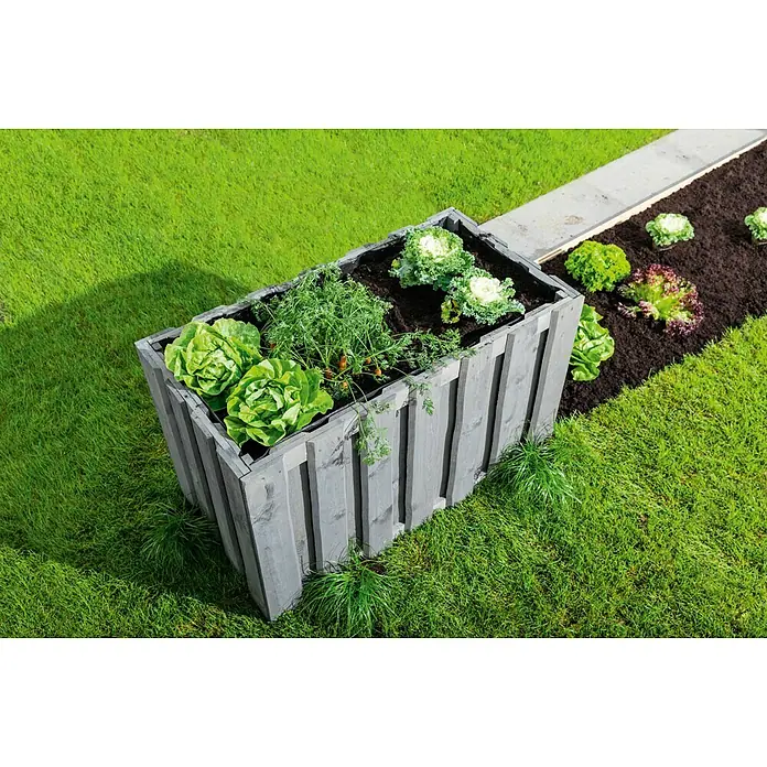 Hochbeet Nevada - 59 x 119 x 72 cm, Holz, Grau - Hochbeet aus Holz mit verschiedenen Gemüsesorten wie Salat, Kohl und Kräutern. Ideal für den Garten oder die Terrasse.