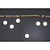 Paulmann Led-feestverlichting (Buiten, 7 lampen, 3,6 m)
