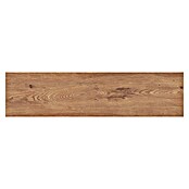 Corso Italia Feinsteinzeugfliese Fable (90 x 22,5 cm, Stärke: 8 mm, Cognac, Matt) | BAUHAUS