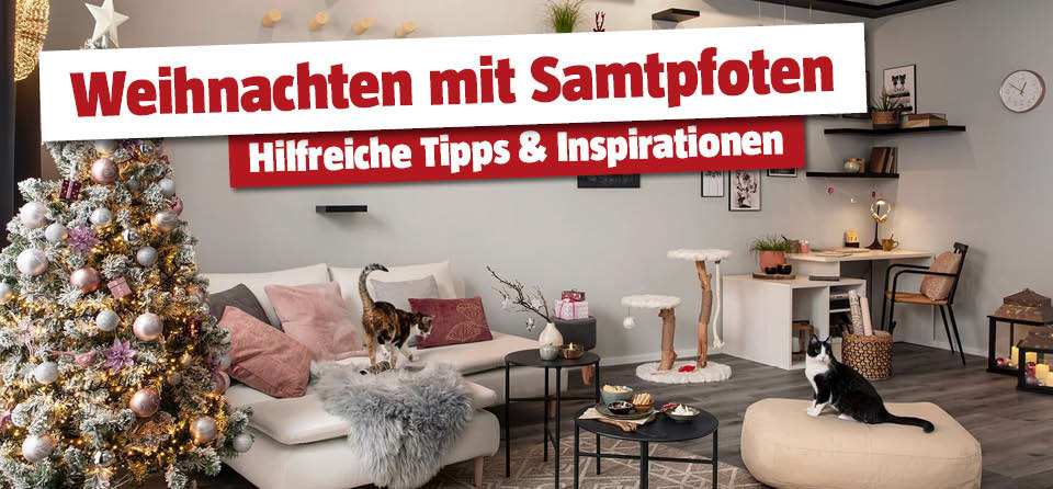 Weihnachten mit Katzen