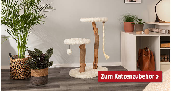 Katzenzubehör