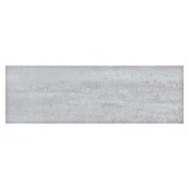Zidna pločica Brienz Ceniza  (60 x 20 cm, Siva, Mat) | BAUHAUS