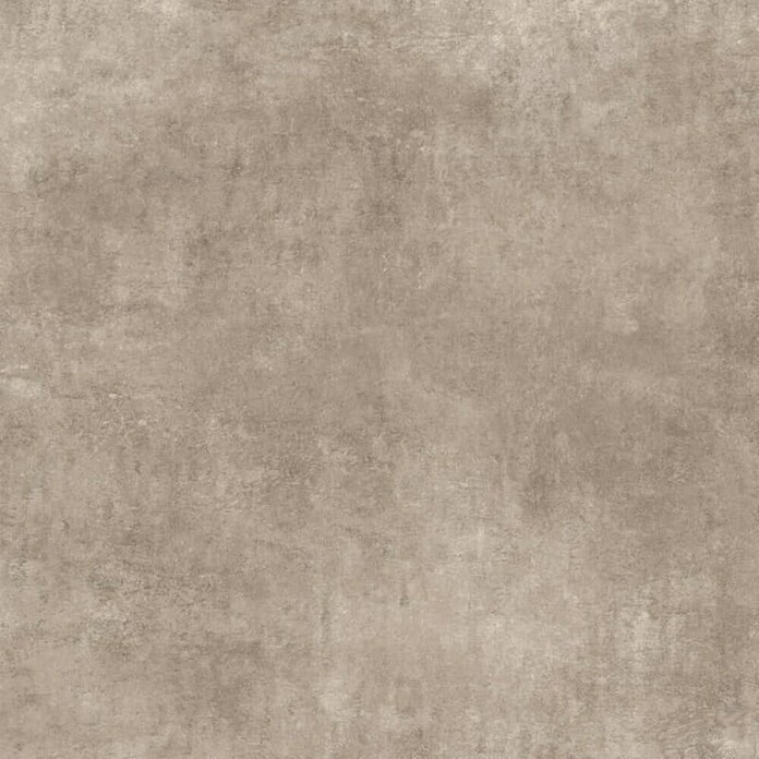 Porculanska pločica Pamesa Alpha taupe  (60 x 60 cm, Bež, Mat) | BAUHAUS