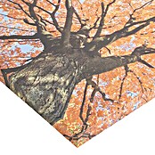 Impresión artística Trees leaves (Naturaleza, 45 x 45 cm)