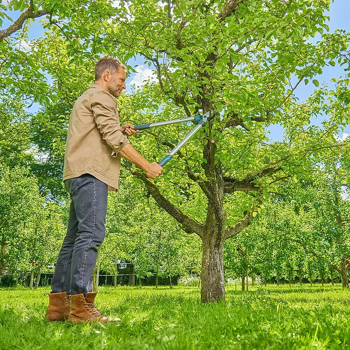 Gardena EasyCut Astschere L - Länge: 670 mm - Ein Mann schneidet mit einer Astschere einen Baum im Garten.